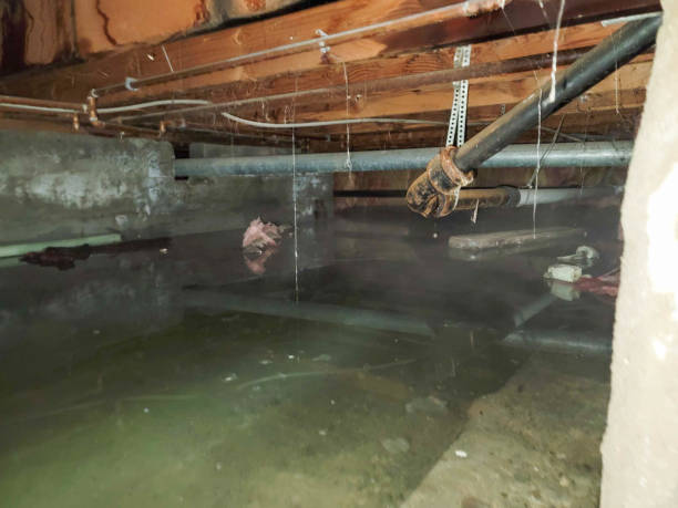 Best Water damage repair service  in La Quinta, CA