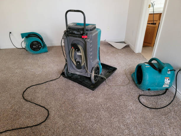 Best Water damage contractors near me  in La Quinta, CA