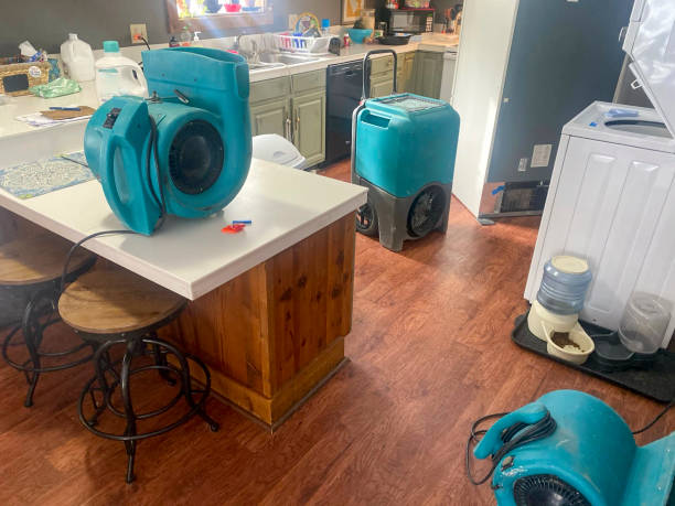 Best Mold removal after water damage  in La Quinta, CA