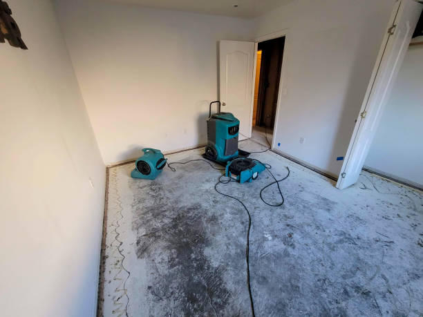Best Sewage cleanup and water damage restoration  in La Quinta, CA