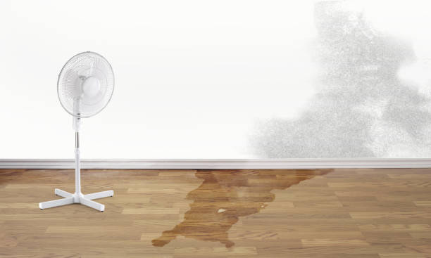 Best Basement water damage restoration  in La Quinta, CA