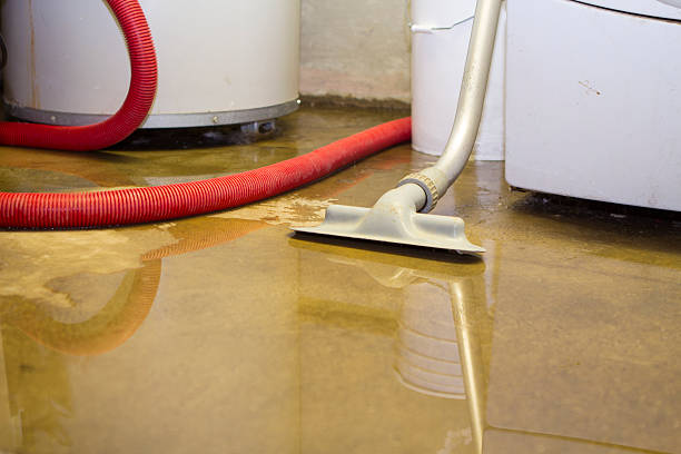 Best Ceiling water damage repair  in La Quinta, CA