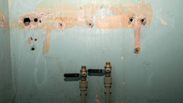 Best Mold removal after water damage  in La Quinta, CA